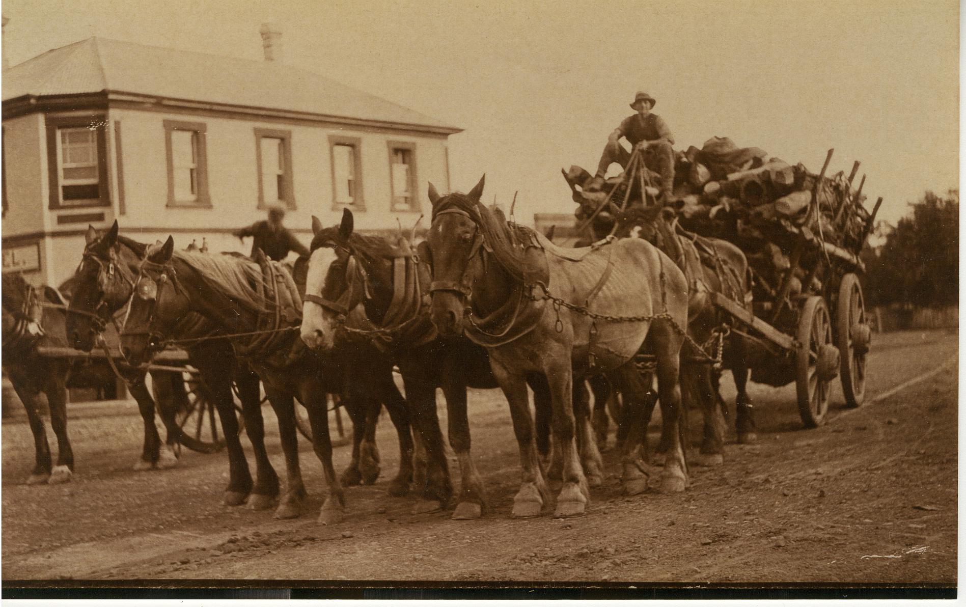 Image credit: Unknown